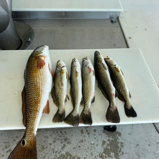 Hook, Line & Memories Fishing Trip