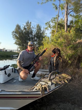 Cape Coral Iguana Hunt