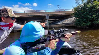 Cape Coral Iguana Hunt