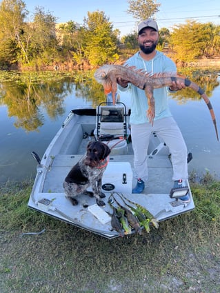 Cape Coral Iguana Hunt