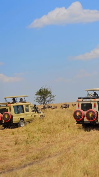 Serengeti Birding Experience