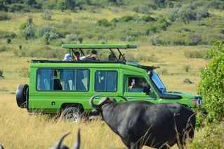 Serengeti Birding Experience