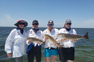 Inshore Fishing Trip