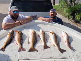 Inshore Fishing Trip
