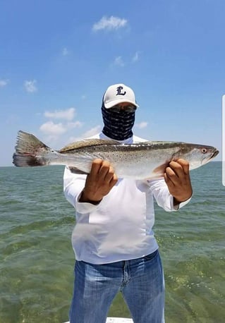Inshore Fishing Trip