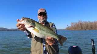 Guntersville Bass Fishing Adventure