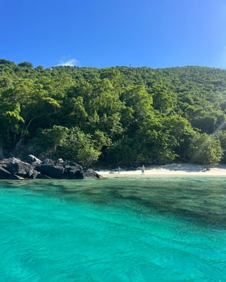 USVI Private
