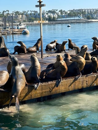 Glass Bottom Boat Tour
