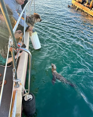 Glass Bottom Boat Tour