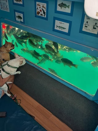 Glass Bottom Boat Tour