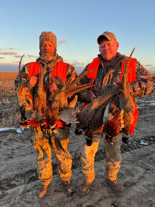 Kansas Upland Bird Hunting
