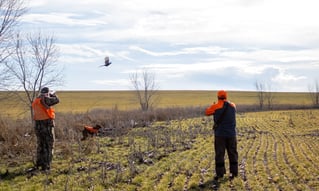Kansas Upland Bird Hunting