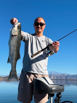 4 Hr Trips Stripers