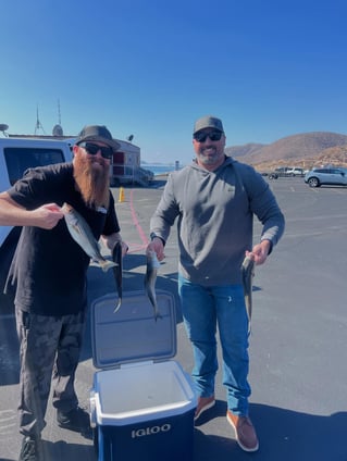 4 Hr Trips Stripers