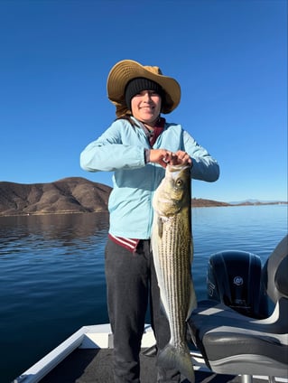 4 Hr Trips Stripers