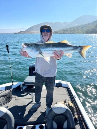 4 Hr Trips Stripers
