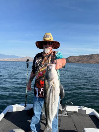 4 Hr Trips Stripers