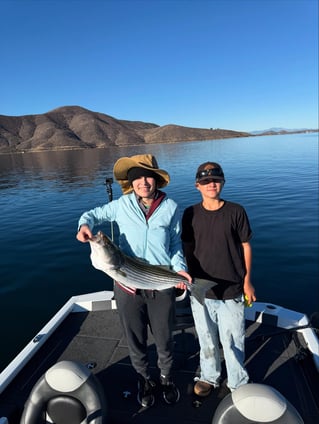4 Hr Trips Stripers