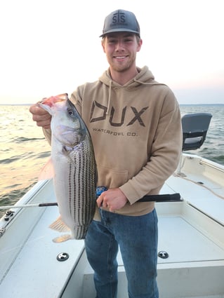 Striper Only