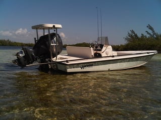 Cancun Light Tackle And Fly Fishing