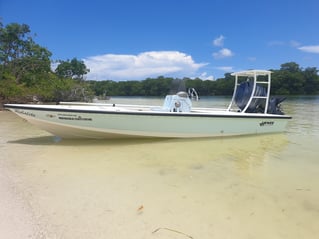 Cancun Light Tackle And Fly Fishing