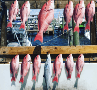 Destin Fishing Excursion