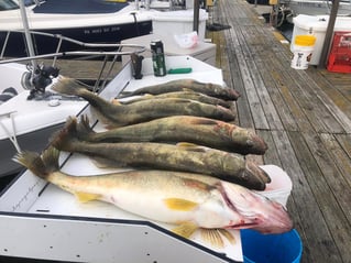 Full Day Lake Erie Fishing