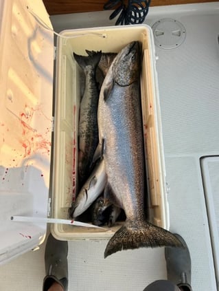 Premier Charter Fishing