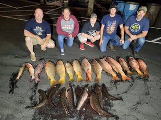Bowfishing Trips