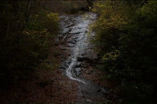 Guided Fly Fishing Trip