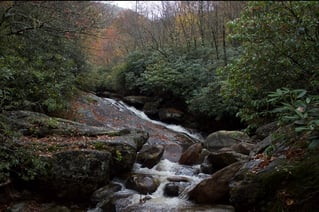 Guided Fly Fishing Trip