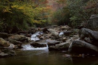 Guided Fly Fishing Trip
