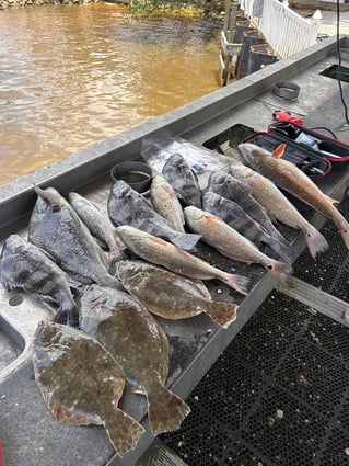 Inshore Fishing!