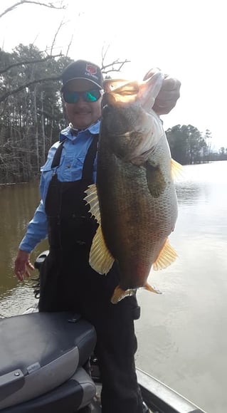 Bass Fishing Trip