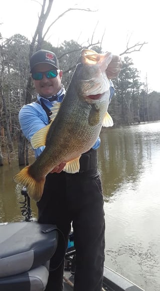 Bass Fishing Trip