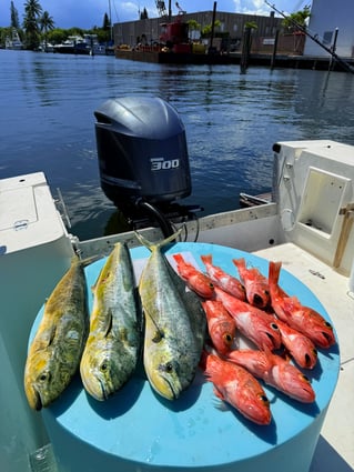 Deep Sea Fishing Excursion 