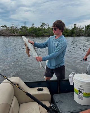 Inshore Fishing Trip
