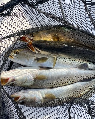 Inshore Fishing Trip