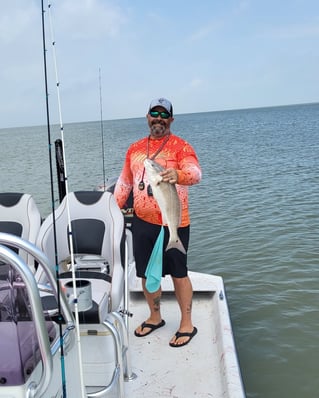 Bay Trip