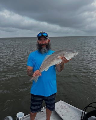 Bay Trip