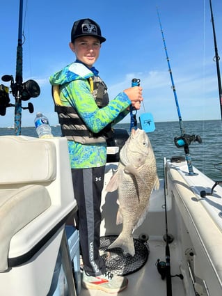 Bay Trip