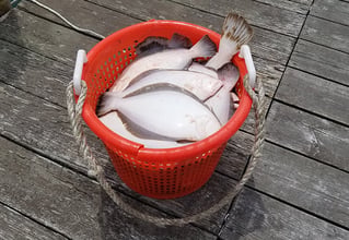 Fishing Trip