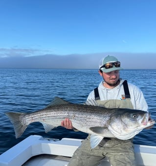 Striped Bass Fishing Trip