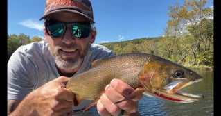 4-8 Hour Fishing - Beaver Tailwater