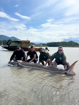 Sturgeon Fishing