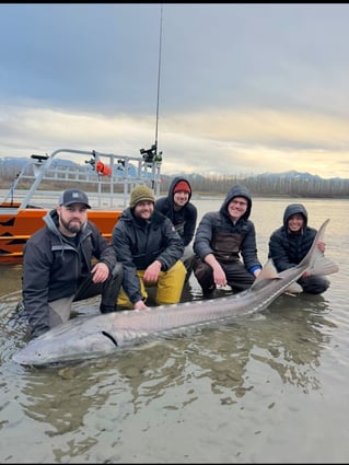 Sturgeon Fishing