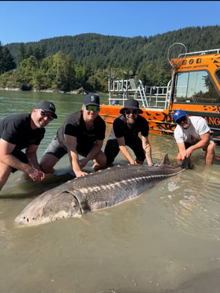 Sturgeon Fishing