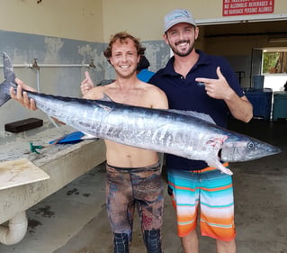 Spearfishing Barbados