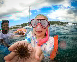 3.5hr Catamaran Experience