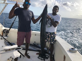 Full Day Marlin Fishing Trip